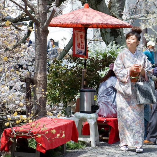 A girl dressed in a flower kimono holds warm tea in her hand beside a red parasol. Above her are cherry blossom trees and looking on is a man in a blue kimono robe. Philosopher's Walk Path, Kyoto, Japan